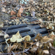 an drain laying on the ground surrounded by leaves